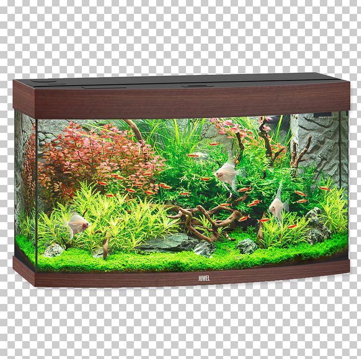 Tropical Aquariums Lighting Tropical Fish PNG, Clipart, Aquarium, Aquarium Decor, Aquatic Plant, Cabinet, Cabinet Light Fixtures Free PNG Download