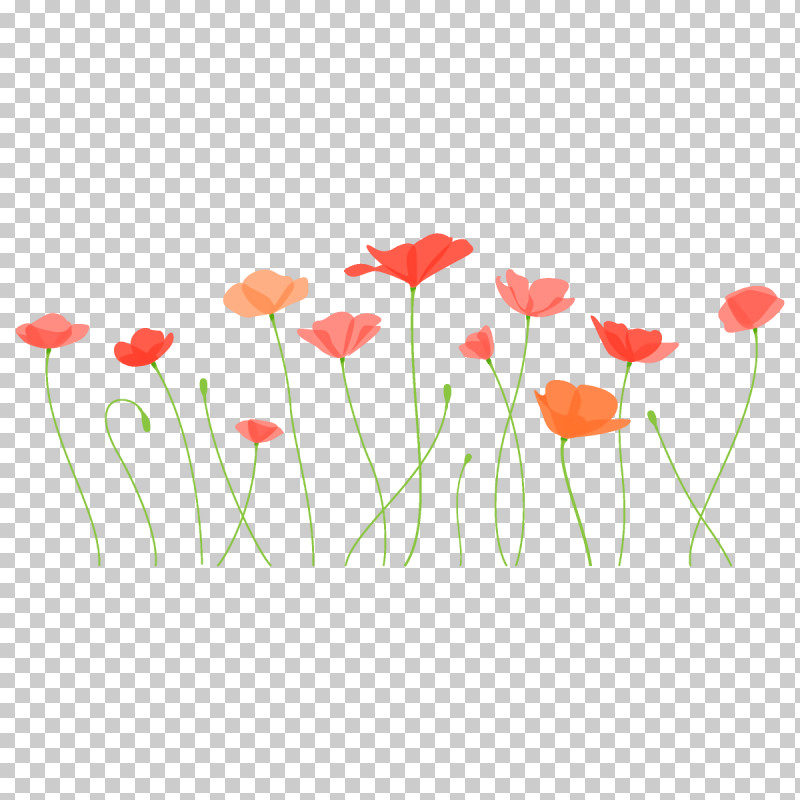 Poppy Flower PNG, Clipart, Coquelicot, Corn Poppy, Flower, Petal, Plant Free PNG Download