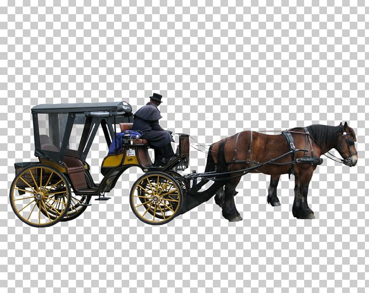 Carriage Litter Horse-drawn Vehicle PNG, Clipart, Animals, Carriage, Cart, Chariot, Coachman Free PNG Download