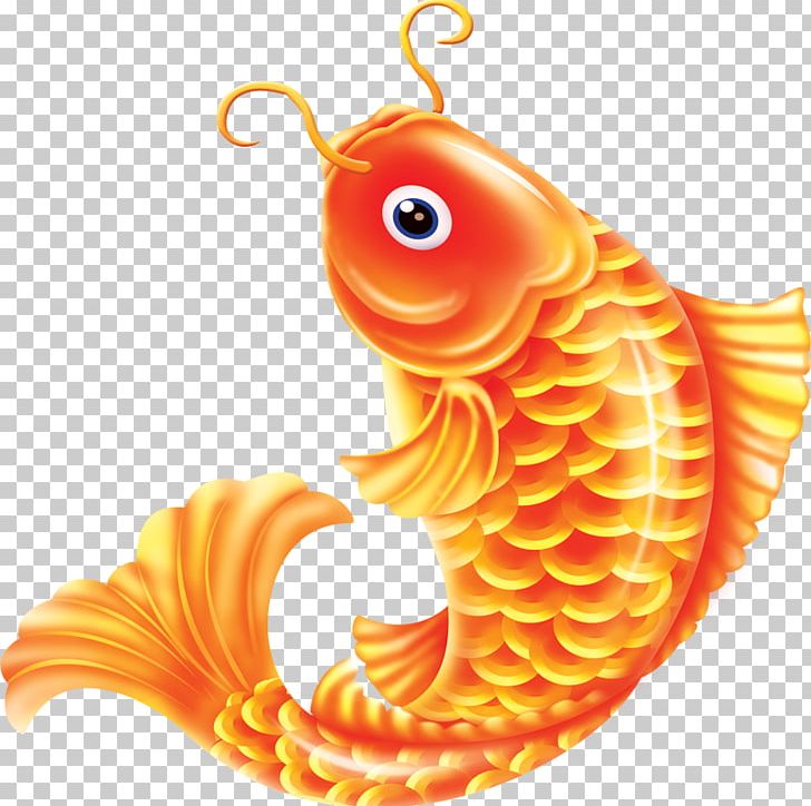 Common Carp Goldfish PNG, Clipart, Animals, Aquarium Fish, Chinese New Year, Common Carp, Fish Free PNG Download