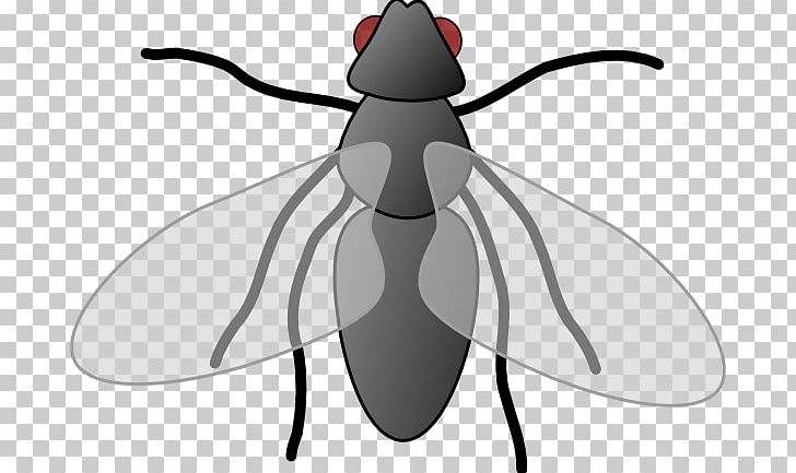 Fly Free Content PNG, Clipart, Artwork, Black And White, Clip Art, Copyright, Download Free PNG Download