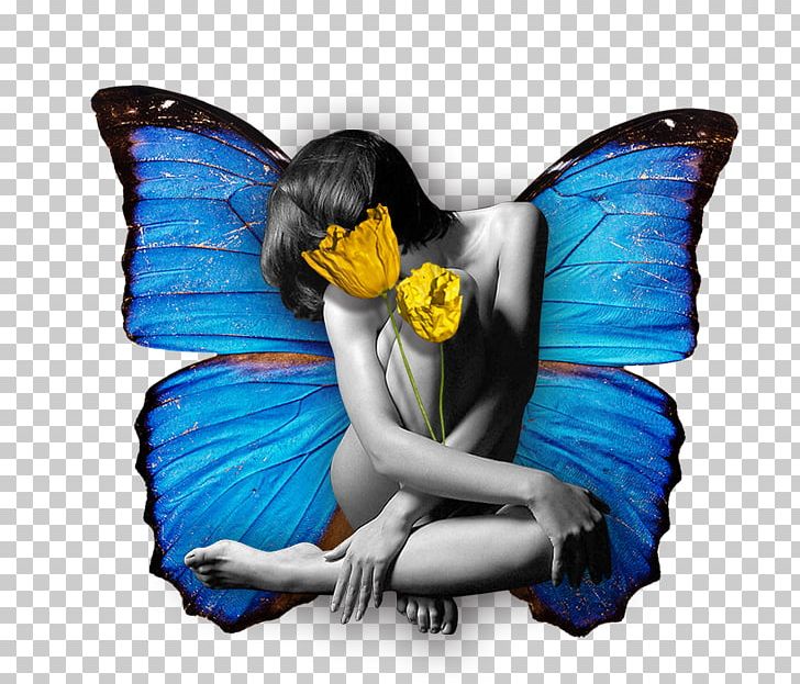 Butterfly Morpho Menelaus Morpho Peleides Blue White PNG, Clipart, Beauty, Blue, Butterflies, Butterflies And Moths, Butterfly Free PNG Download