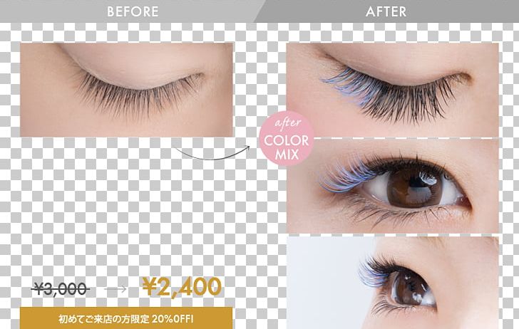Eyelash Extensions Japanese Yen プロケアアイラッシュ まつ毛エクステンション PNG, Clipart, Artificial Hair Integrations, Beauty, Cosmetics, Eye, Eyebrow Free PNG Download
