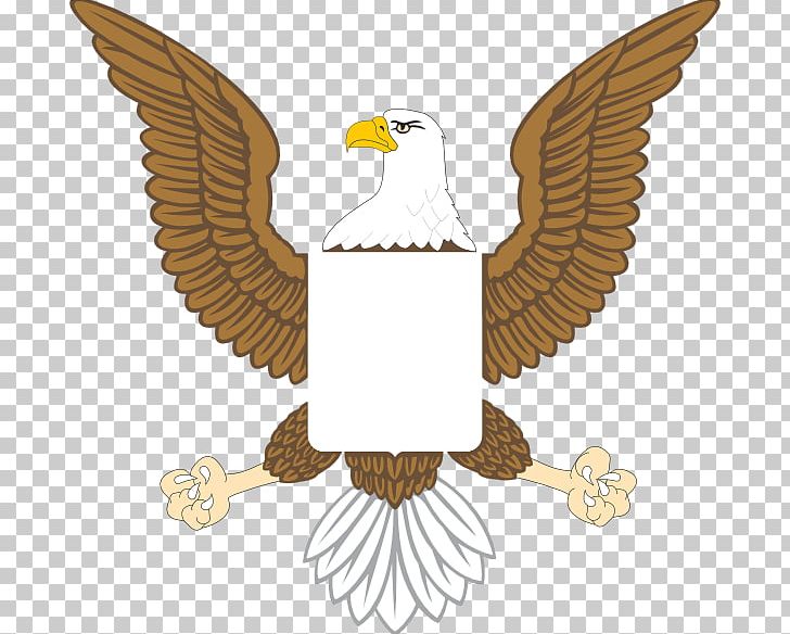 Bald Eagle United States PNG, Clipart, Accipitriformes, American Eagle Outfitters, Animals, Bald Eagle, Beak Free PNG Download