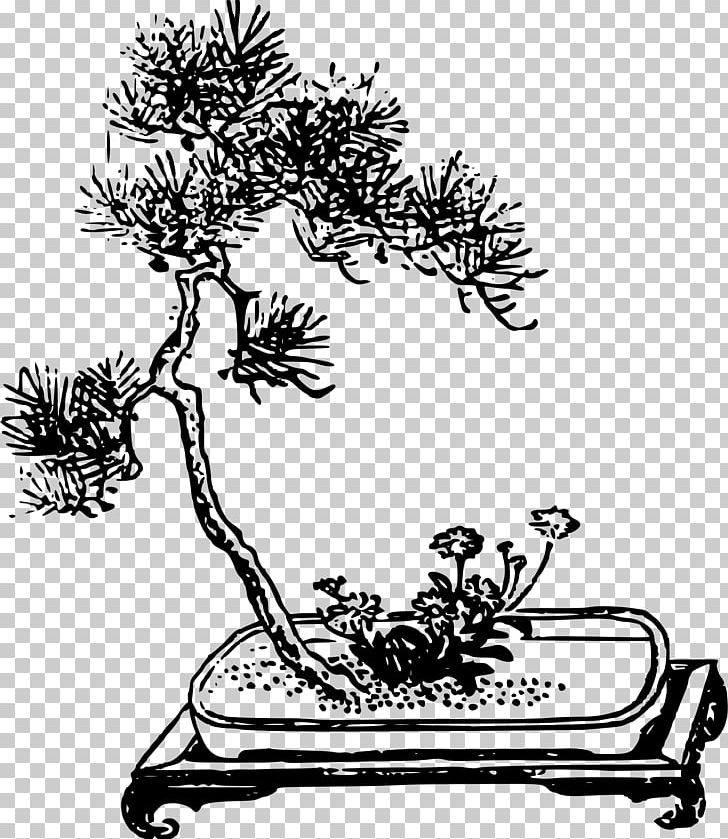 Bonsai Tree Penjing Plant PNG, Clipart, Art, Artwork, Black And White, Bonsai, Branch Free PNG Download