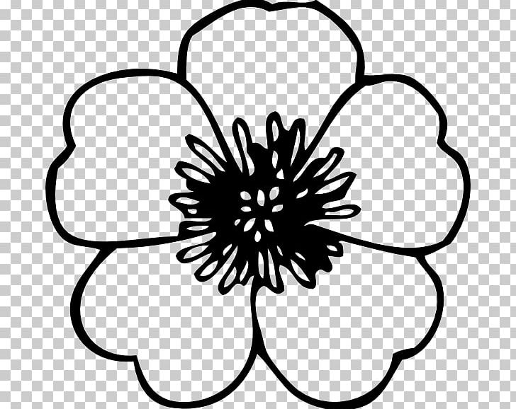 Flower Black And White PNG, Clipart, Artwork, Black And White, Circle, Drawing, Flora Free PNG Download
