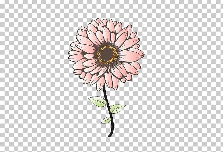 Graphics Decal Sticker Drawing PNG, Clipart, Art, Chrysanths, Cut Flowers, Daisy Family, Decal Free PNG Download
