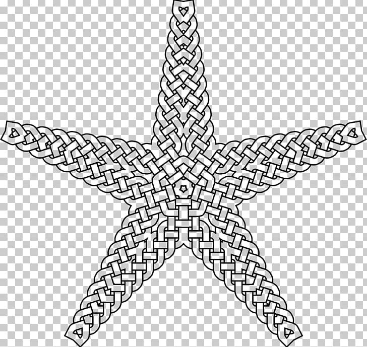 Starfish Lost Ocean PNG, Clipart, Angle, Animals, Area, Braid, Celtic Free PNG Download