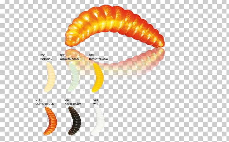 Worm Close-up PNG, Clipart, Bruni Sport, Closeup, Orange, Others, Worm Free PNG Download