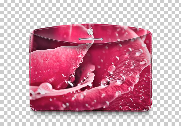Pink Petal Magenta Handbag PNG, Clipart, 1080p, 1610, Aspect Ratio, Darktheme Folder, Desktop Wallpaper Free PNG Download