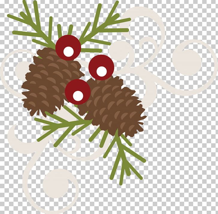 Christmas Ornament Conifer Cone PNG, Clipart, Autocad Dxf, Branch, Christmas, Christmas Decoration, Christmas Ornament Free PNG Download