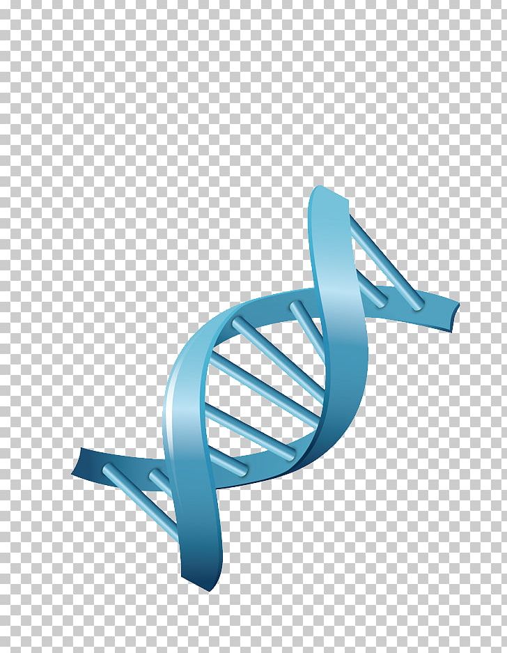 DNA Genetics Biology PNG, Clipart, Angle, Aqua, Art, Biology, Chromosome Free PNG Download