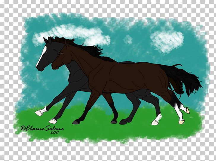 Foal Mane Mustang Stallion Mare PNG, Clipart, Colt, Dog Harness, Fauna, Foal, Grass Free PNG Download