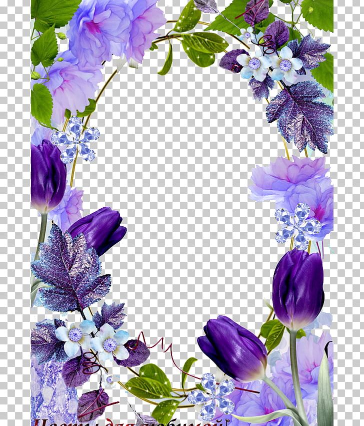 Frame Flower PNG, Clipart, Border, Border Frame, Border Frames, Borders, Christmas Frame Free PNG Download