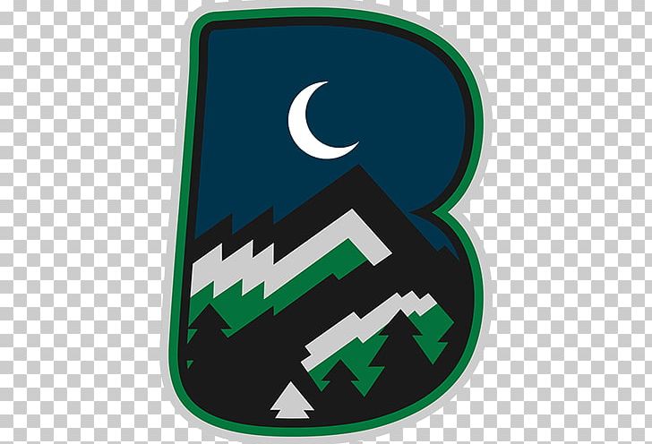 Hartford Whalers Logo PNG, Clipart, Art, Bayern Munich Logo, Green, Hartford, Hartford Whalers Free PNG Download