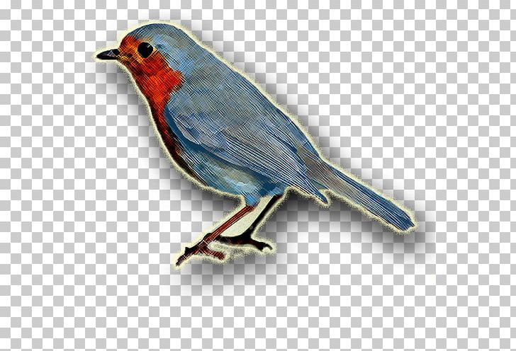 European Robin Finches Bird American Sparrows Beak PNG, Clipart, American Sparrows, Animal, Animals, Beak, Bird Free PNG Download