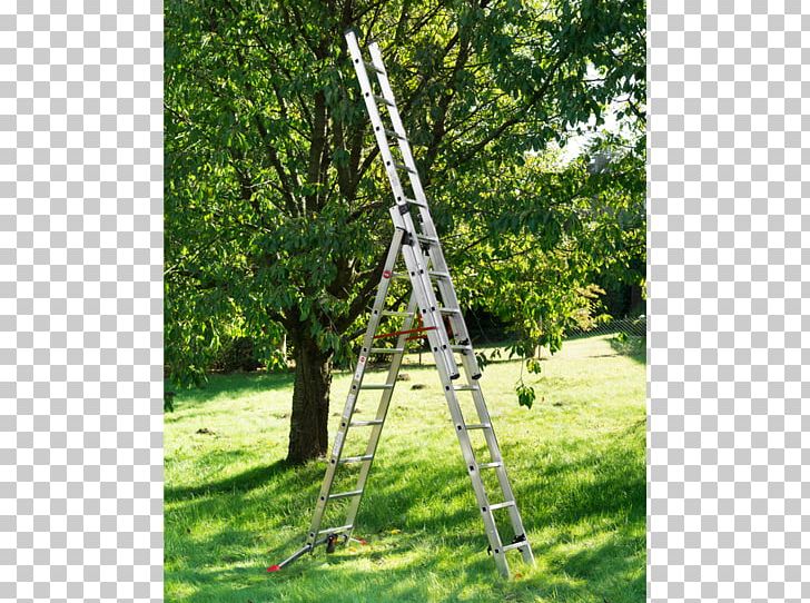 Hailo Combi Ladder 3 Section Capacity 150kg Rungs And Garden Ice Scrapers & Snow Brushes Tree PNG, Clipart, Chainsaw, Gabion, Garden, Geschenkegarten, Grass Free PNG Download