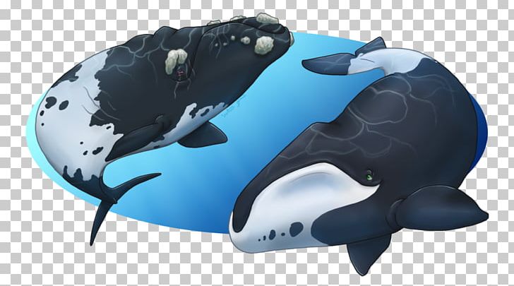 Work Of Art Artist PNG, Clipart, Art, Artist, Baleen, Biology, Bowhead Whale Free PNG Download