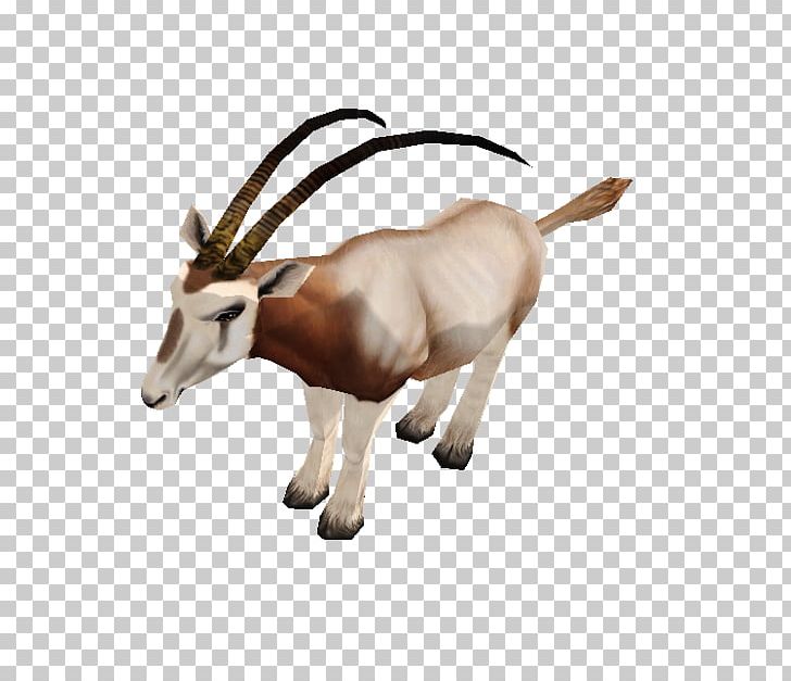 Gemsbok Zoo Tycoon 2 Scimitar Oryx Video Games PNG, Clipart, Animal, Animal Figure, Antelope, Antler, Cattle Free PNG Download