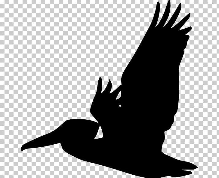 Silhouette Line Art Bird PNG, Clipart, Animals, Beak, Bird, Bird Of Prey, Black And White Free PNG Download