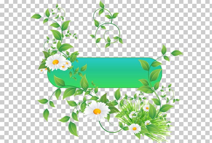 Green Tripleurospermum RGB Color Model PNG, Clipart, Aquarium Decor, Border, Branch, Chamomile, Color Free PNG Download