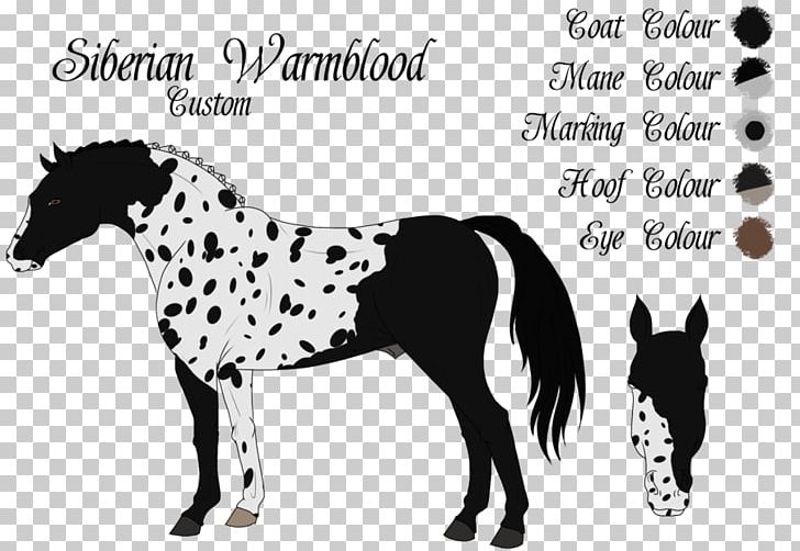 Mustang Stallion Colt Pack Animal Sakārah PNG, Clipart, 22 January, Black And White, Colt, Father, Ford Mustang Free PNG Download
