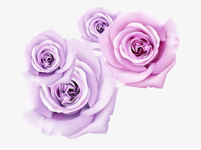 Purple Rose Dimensional Flower PNG, Clipart, 3d Three Dimensional Flower, Dimensional Clipart, Flower, Flower Clipart, Purple Free PNG Download
