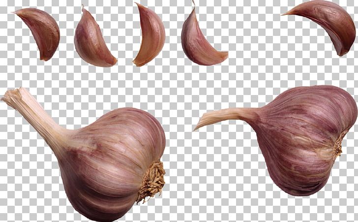 Shallot Hand Wart PNG, Clipart, Alternative Health Services, Chlamydia Infection, Cure, Free, Garlic Free PNG Download