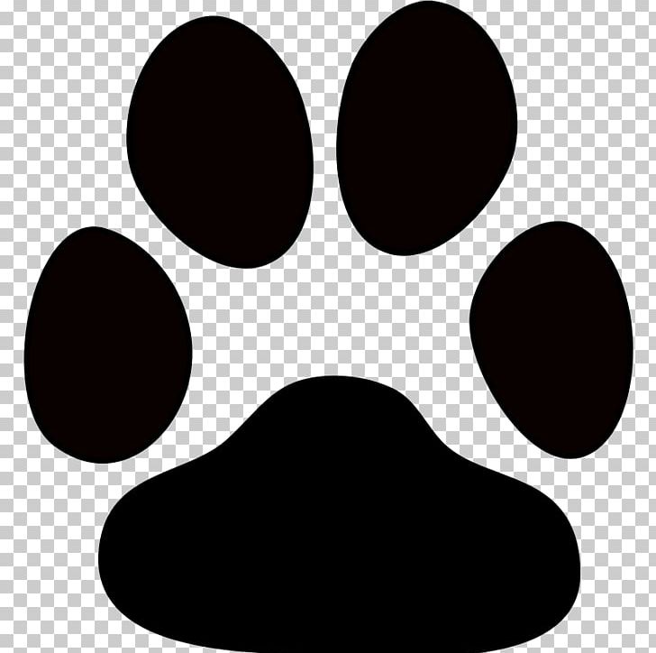 Standard Schnauzer Miniature Schnauzer Chihuahua Paw PNG, Clipart, Animal, Animal Rescue Group, Black, Black And White, Chihuahua Free PNG Download