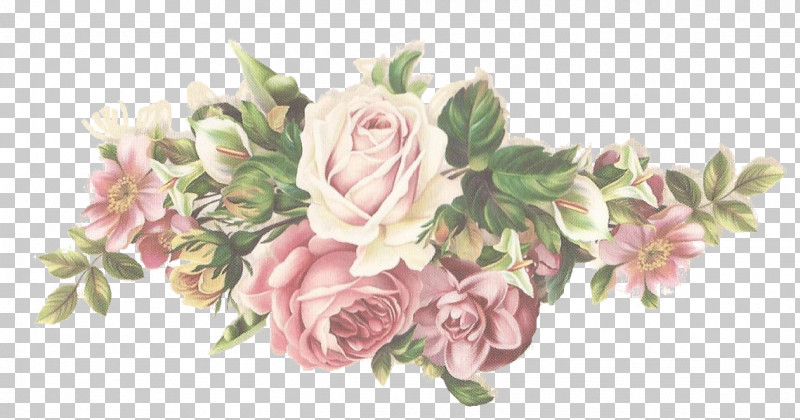 Garden Roses PNG, Clipart, Birthday, Floral Design, Flower, Flower Bouquet, Garden Free PNG Download