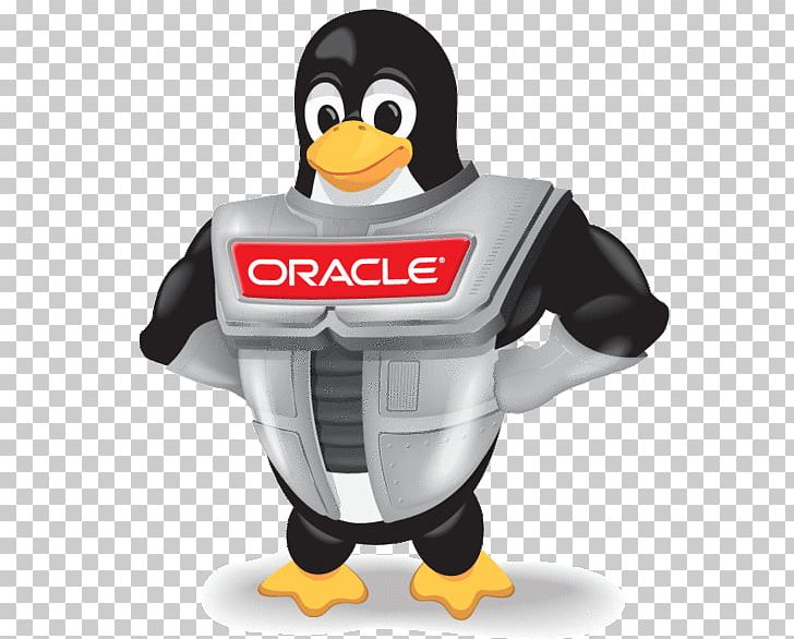 Oracle Linux Oracle Corporation VirtualBox Linux Distribution PNG, Clipart, Beak, Bird, Docker, Fedora, Flightless Bird Free PNG Download