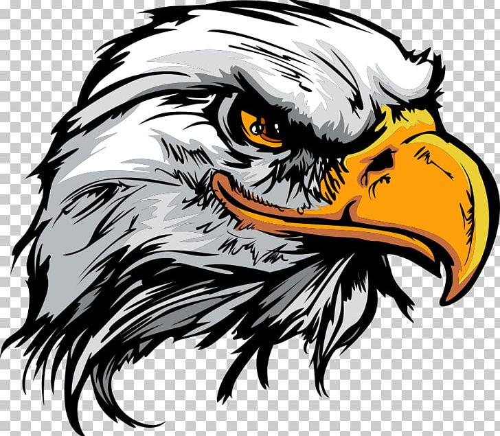 Bald Eagle Logo PNG, Clipart, Animals, Art, Bald Eagle, Beak, Bird Free PNG  Download