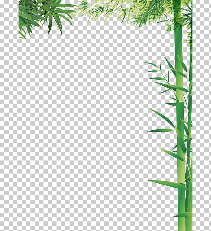 Bamboo Column Bamboe PNG, Clipart, Angle, Area, Background, Background Green, Bamboe Free PNG Download