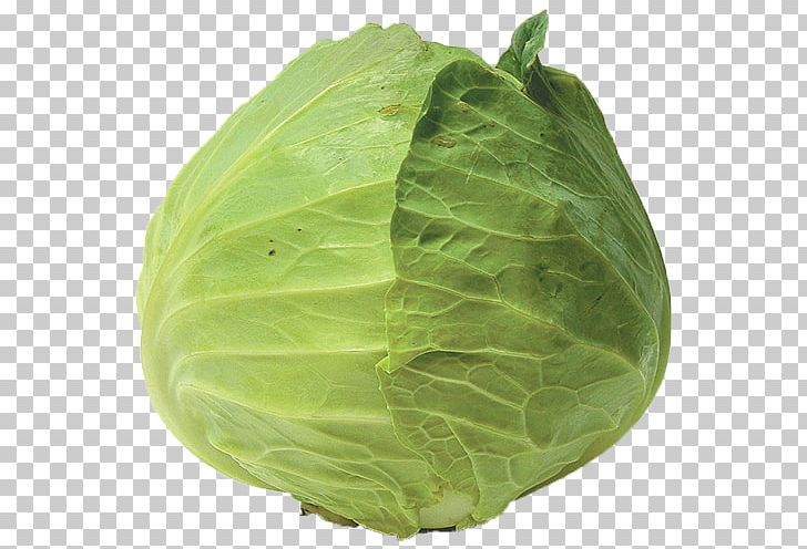 Collard Greens Spring Greens Fiddle-leaf Fig Savoy Cabbage PNG, Clipart, Banyan, Cabbage, Chard, Collard Greens, Crown Free PNG Download