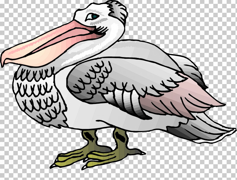 Bird Beak Cartoon Andean Condor Vulture PNG, Clipart, Andean Condor, Beak, Bird, Cartoon, Line Art Free PNG Download