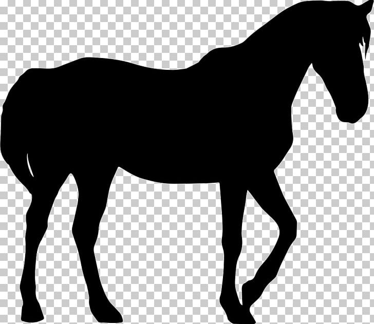 Arabian Horse Mustang Standing Horse Riding Pony PNG, Clipart, Black, Black And White, Bridle, Colt, Drawing Free PNG Download