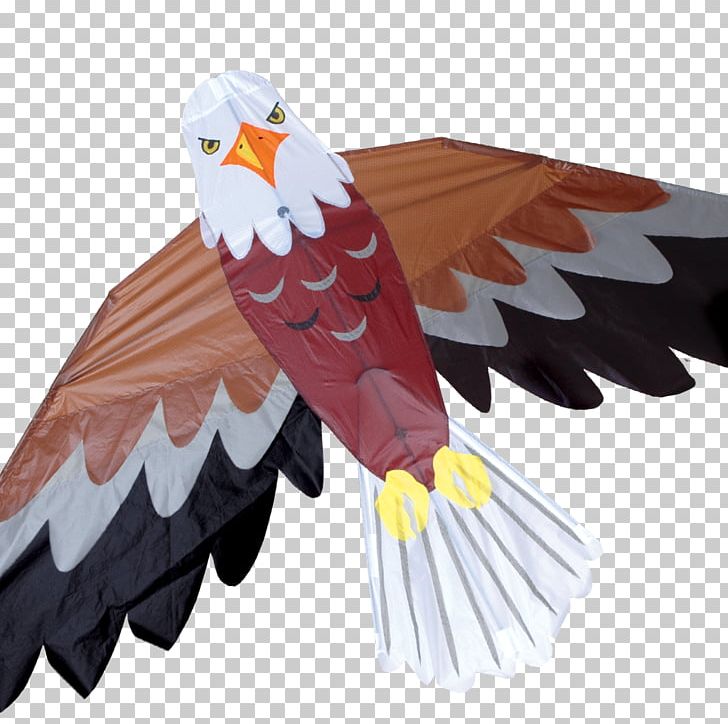 Bald Eagle America's Favorite Backyard Birds Kite PNG, Clipart, Accipitriformes, Animals, Bald Eagle, Beak, Bird Free PNG Download