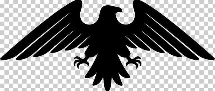Bald Eagle Computer Icons PNG, Clipart, Animals, Bald Eagle, Beak, Bird, Bird Of Prey Free PNG Download