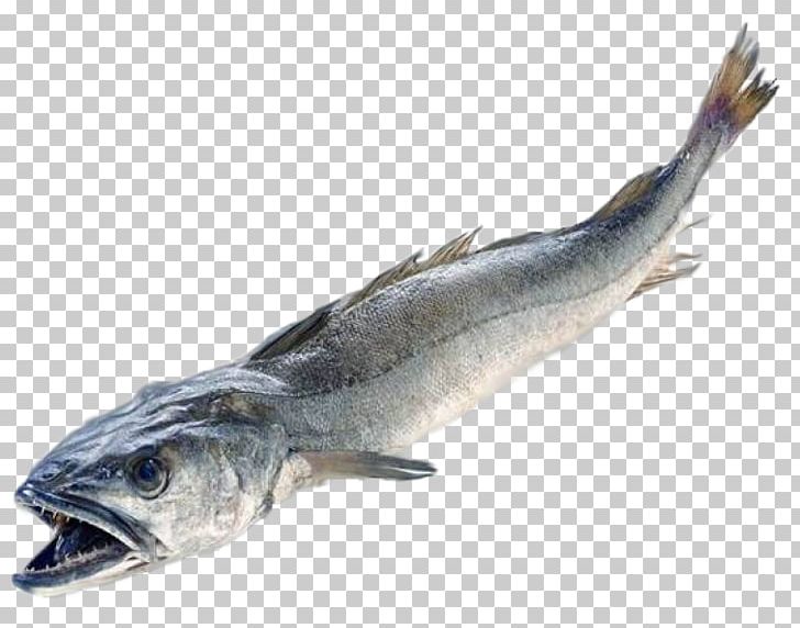 Italian Cuisine Merluccius Merluccius Angler Fish Hake PNG, Clipart, Angler, Animals, Animal Source Foods, Atlantic Cod, Barramundi Free PNG Download