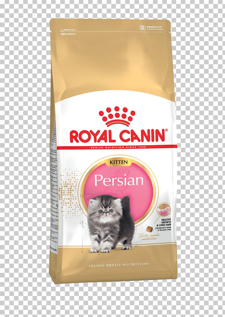 Persian Cat Cat Food Kitten British Shorthair Ragdoll PNG, Clipart, Animals, Breed, British Shorthair, Cat, Cat Food Free PNG Download
