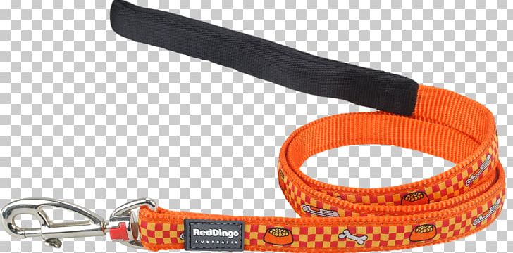 Dog Collar Dingo Leash Police Dog PNG, Clipart, Animals, Bivouac Shelter, Bowl, Collar, Dingo Free PNG Download