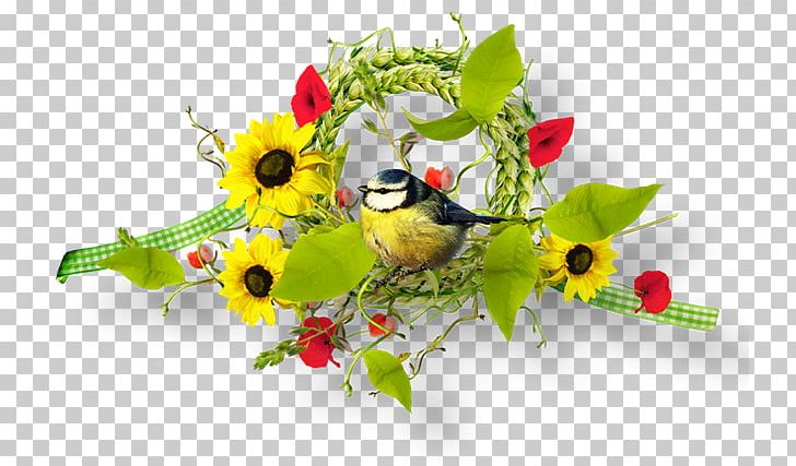 Floral Design Cut Flowers PNG, Clipart, Beak, Bird, Blume, Branch, Color Free PNG Download