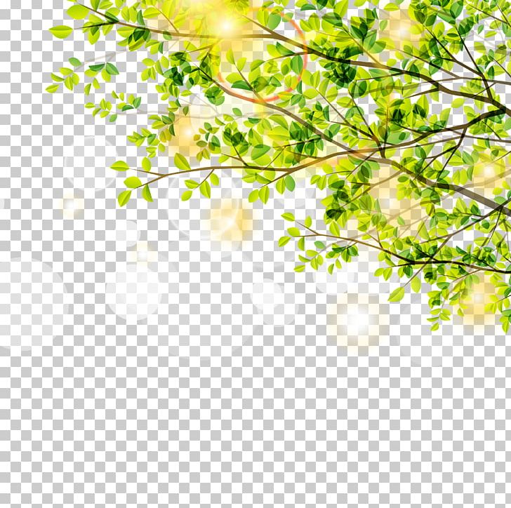 Leaf Green Euclidean Tree PNG, Clipart, Autumn Tree, Branch, Christmas Tree, Encapsulated Postscript, Family Tree Free PNG Download