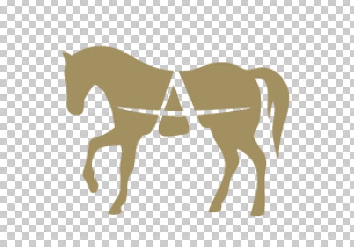 Pony Horse Stallion Foal Equestrian PNG, Clipart, Animals, Bridle, Colt, Copy, Doma Free PNG Download