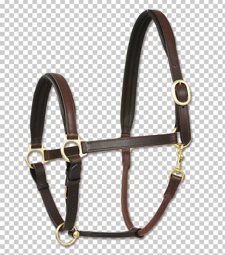 Horse Halter Rope Leather Sheep PNG, Clipart, Animals, Bit, Brass, Bridle, Color Free PNG Download