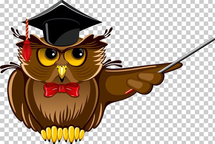 Owl Teacher Portable Network Graphics School PNG, Clipart, Animals, Beak, Bird, Bird Of Prey, Cartoon Free PNG Download
