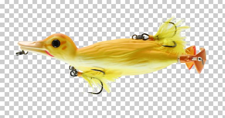Duck Topwater Fishing Lure Fishing Baits & Lures Bass Fishing PNG, Clipart, Angling, Animals, Bait, Bass, Bass Fishing Free PNG Download