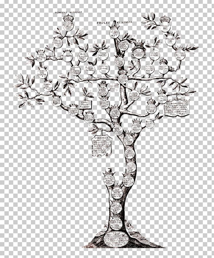 Genealogy Family Tree Ancestor Kinship PNG, Clipart, Ancestor, Black And White, Branch, Candle Holder, Coat Of Arms Free PNG Download