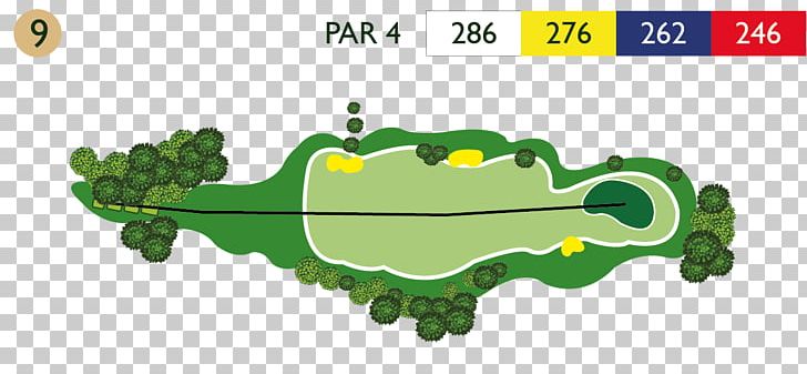 Golf D'Abbeville Golf Course Golf Clubs PNG, Clipart,  Free PNG Download