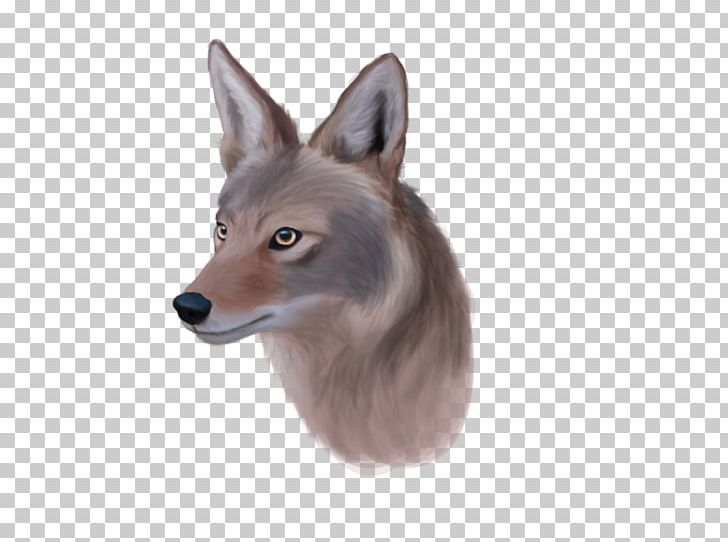 Red Fox Coyote Art Jackal PNG, Clipart, Art, Artist, Carnivoran, Community, Coyote Free PNG Download